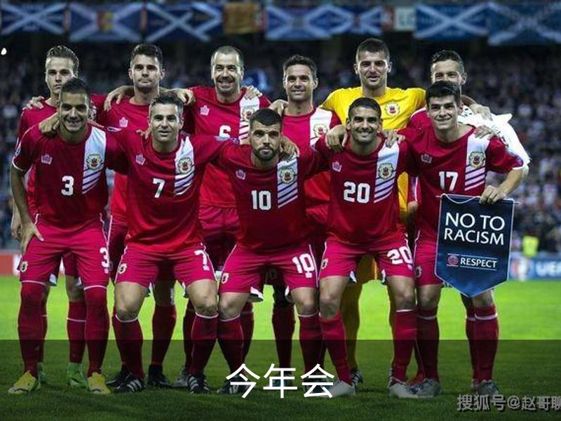 今年会简介